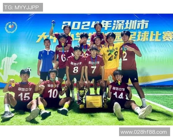 深圳足球队阵地战的优劣分析与未来发展方向探讨