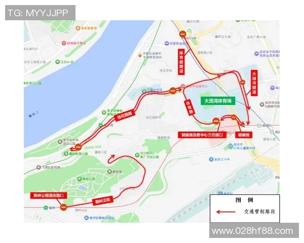 重庆排球队技术表现分析与联赛前景展望